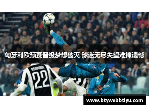 匈牙利欧预赛晋级梦想破灭 球迷无尽失望难掩遗憾