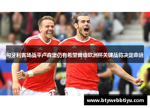 匈牙利客场战平卢森堡仍有希望晋级欧洲杯关键战将决定命运