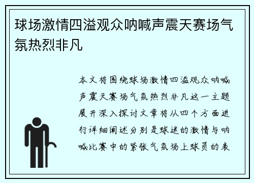 球场激情四溢观众呐喊声震天赛场气氛热烈非凡